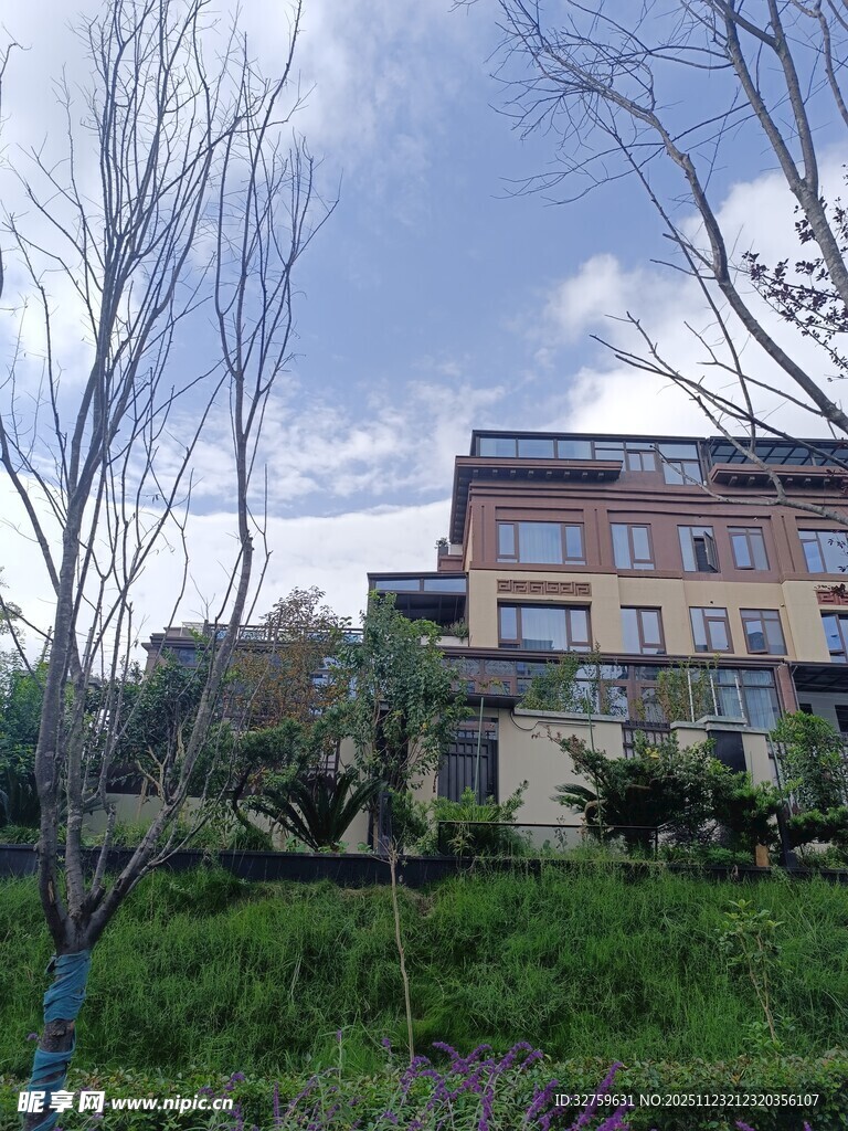 山坡上的别致房屋