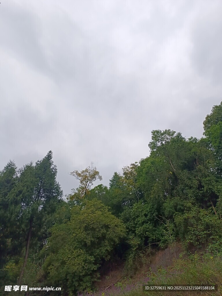 山林云雾间的绿意景致