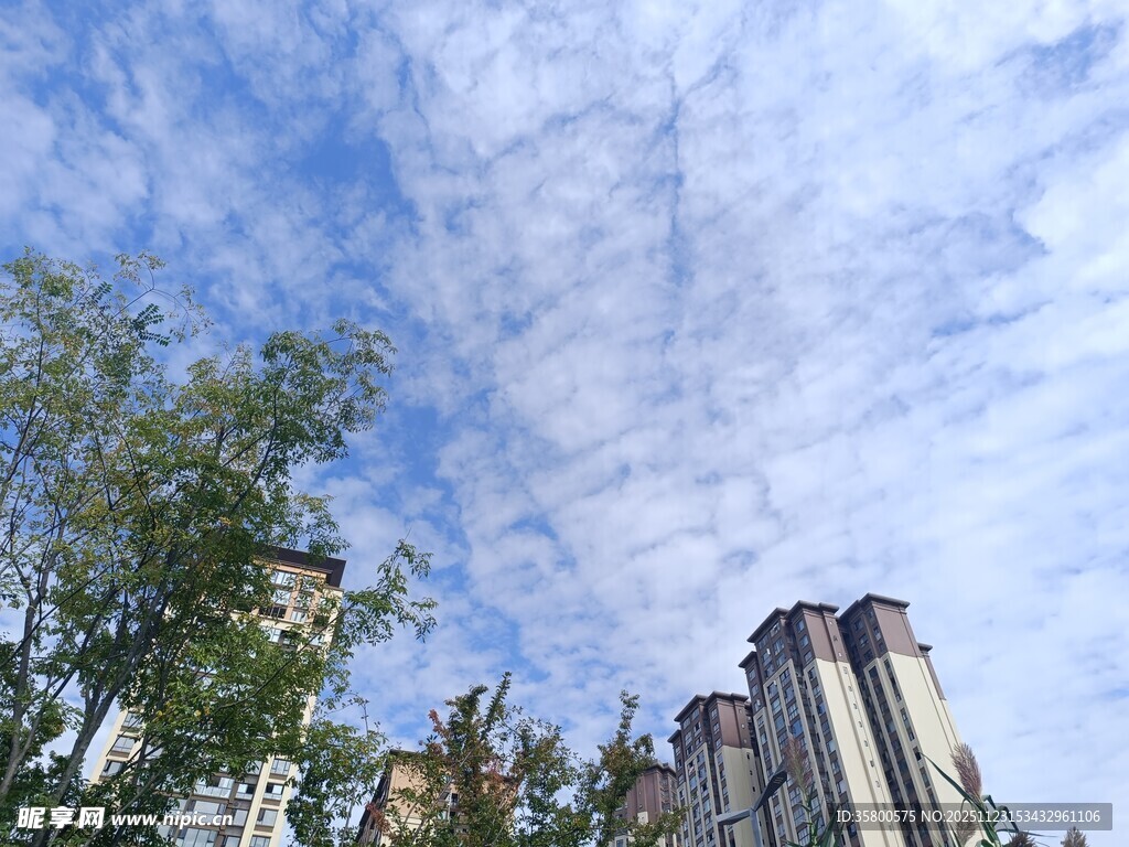 蓝天白云下的城市建筑