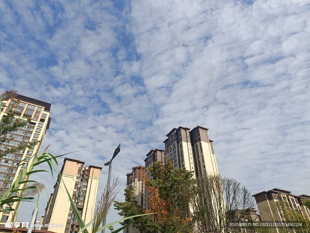 城市高楼与蓝天白云景观