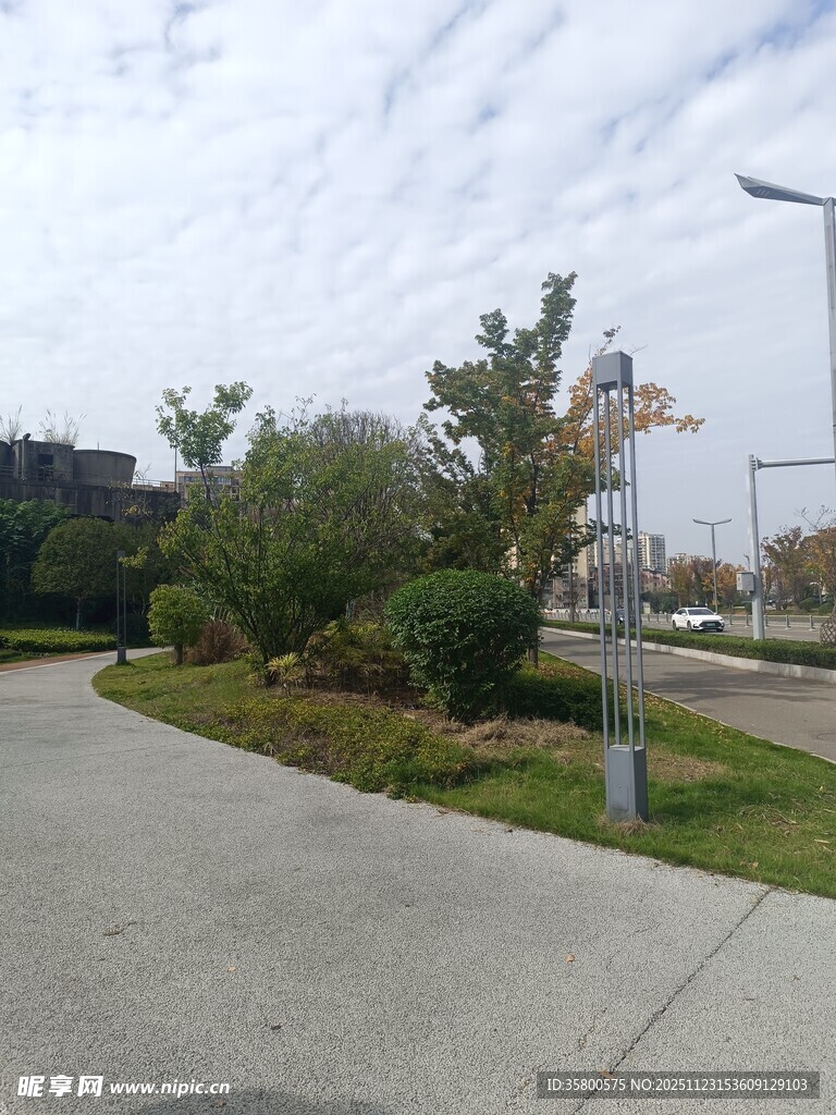 城市角落的绿化景观