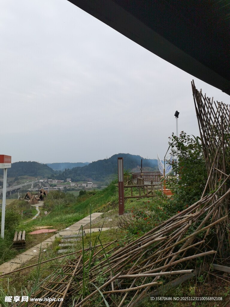 乡村野外杂乱堆放的树枝