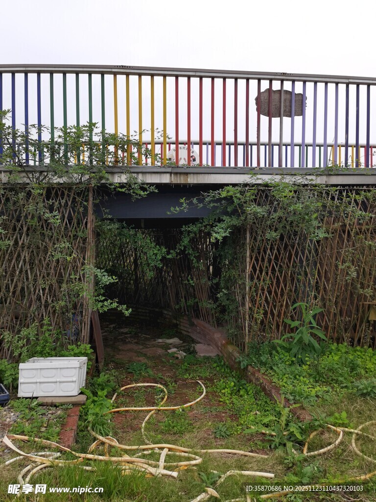 户外隐秘的地下通道入口