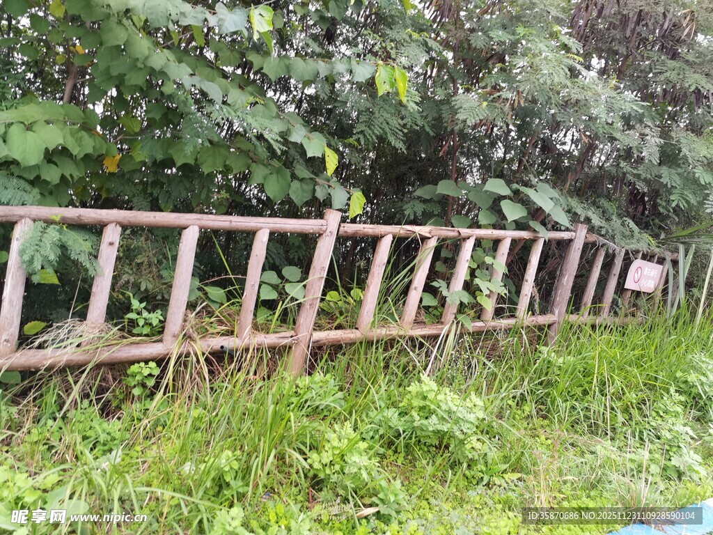 户外木质阶梯隐于绿植中