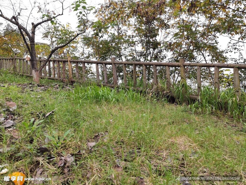 户外草地与围栏景象