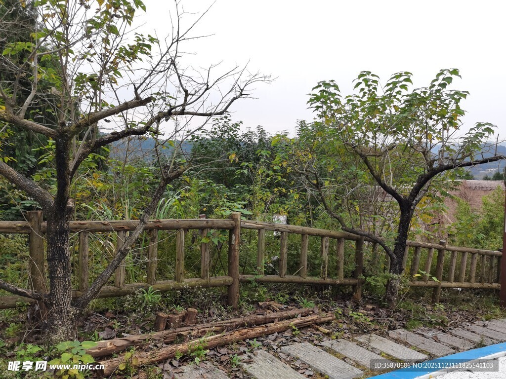 户外木质围栏旁的绿植景致