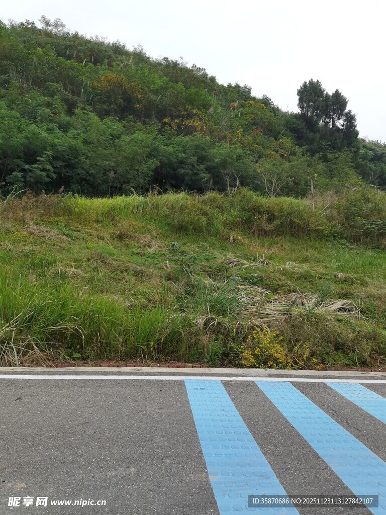 公路旁的绿意山坡
