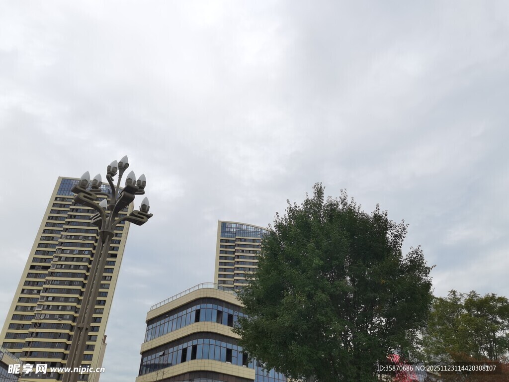 城市中高楼与树木景观