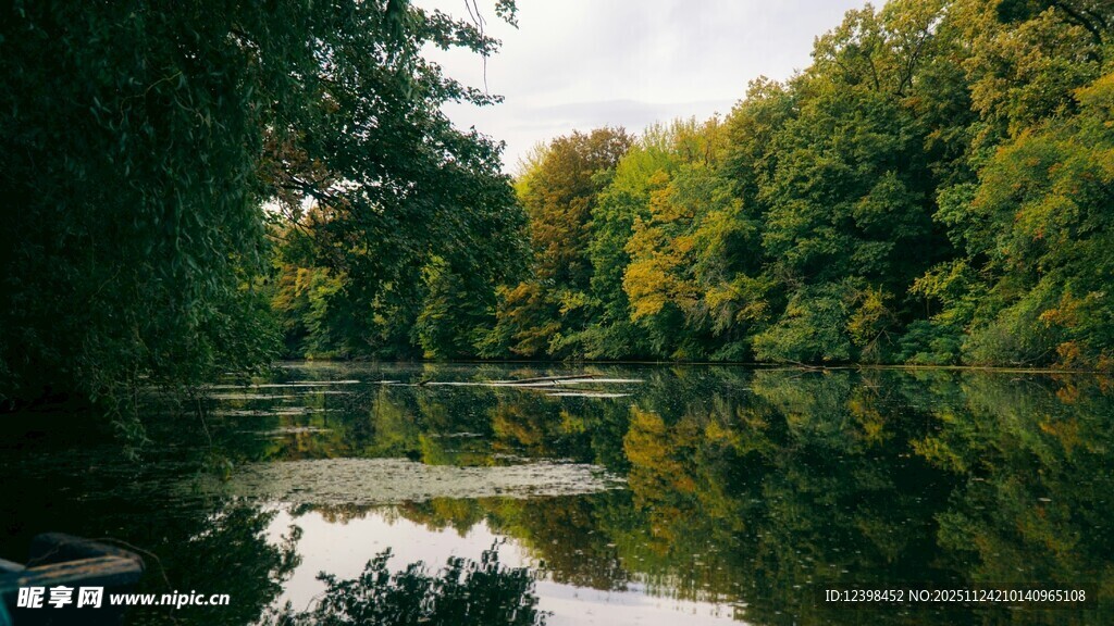 湖畔森林倒影美景