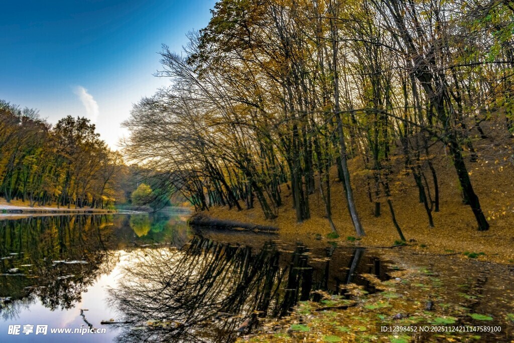 秋日湖边树林美丽景致