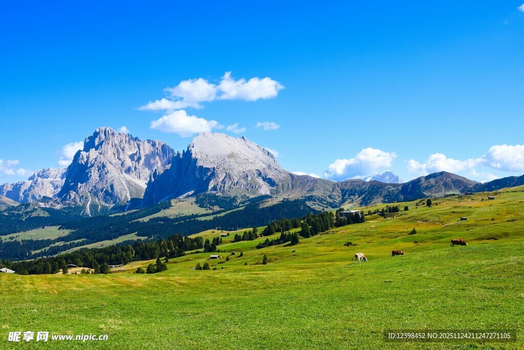 壮丽高山下的翠绿草原
