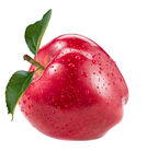 鲜红多汁的单个新鲜苹果