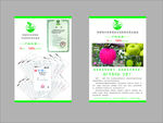 苹果 绿色清新产品宣传折页设计