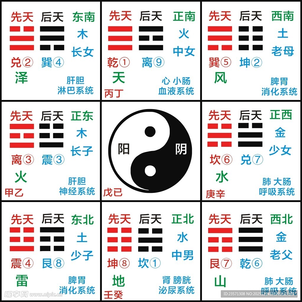 八卦图与五行元素展示