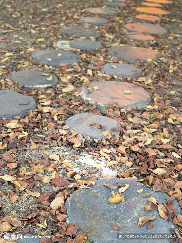 落叶铺就的石板小径