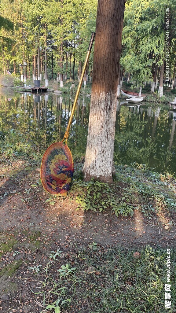 树下篮球 静谧户外场景