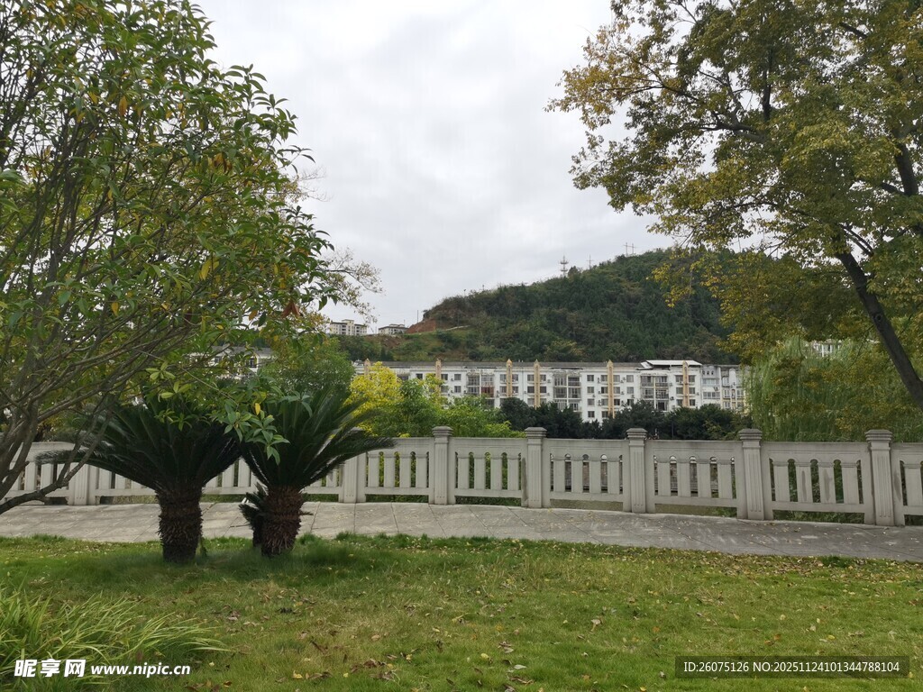 园林景致绿意盎然的户外