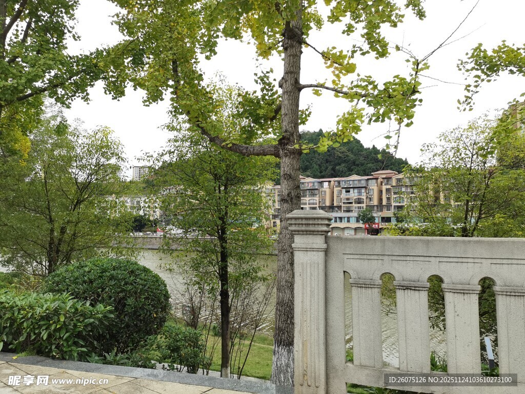 公园绿树环绕的景致