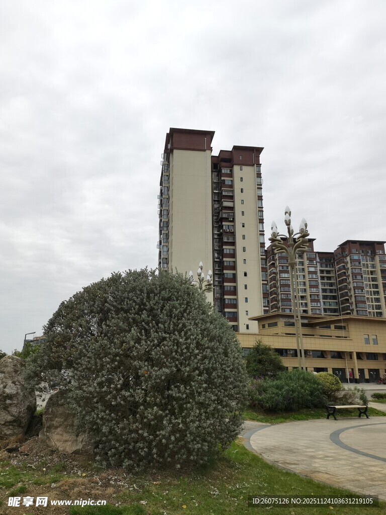 城市中高耸的现代住宅楼