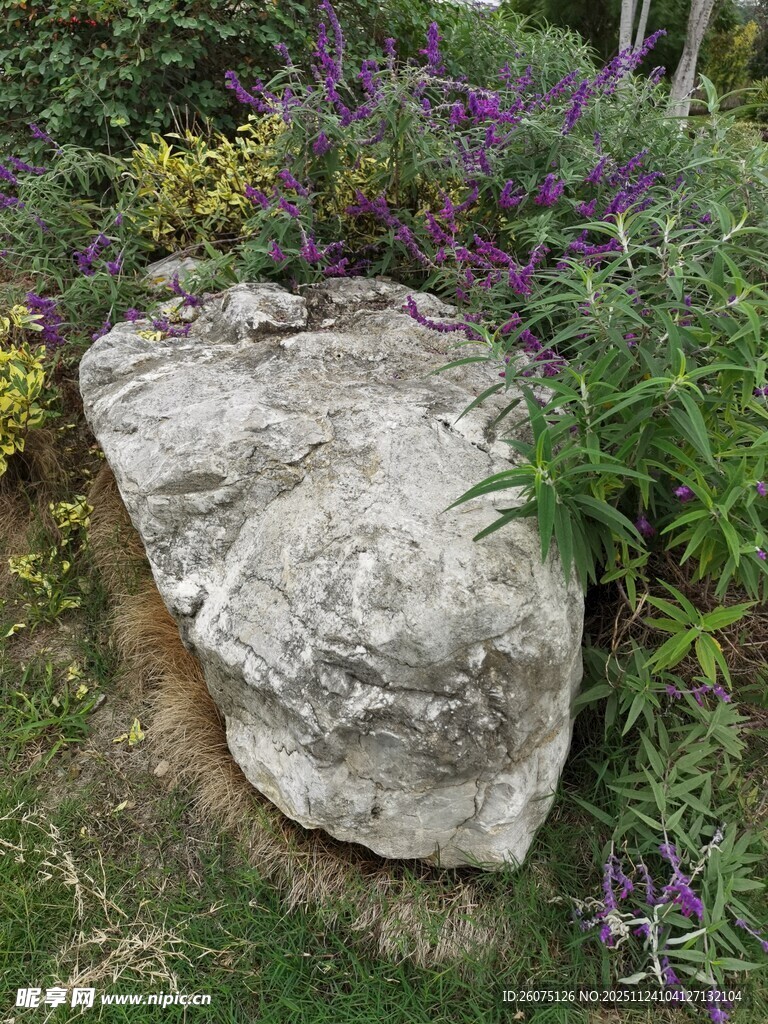 园林中造型独特的景观石