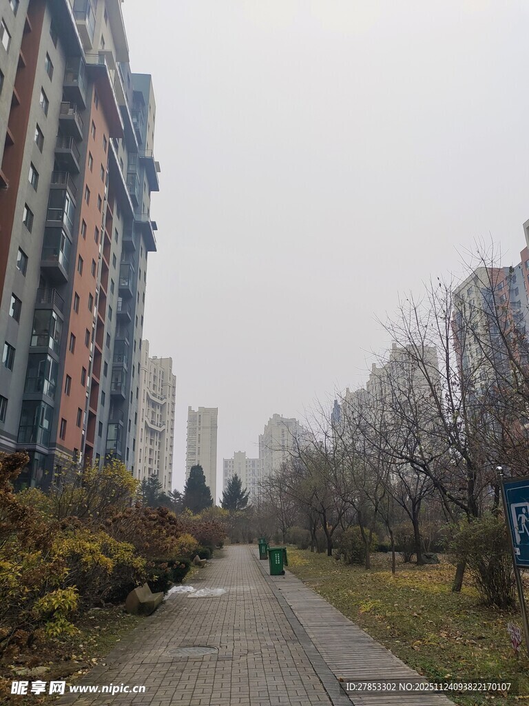 城市街道冬日景象