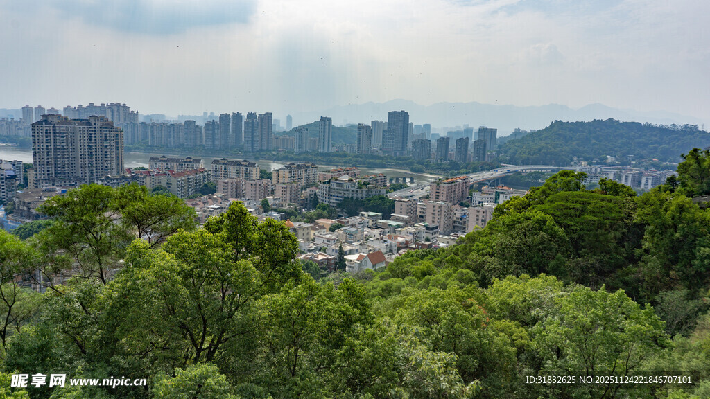 城市与绿意交织的景致