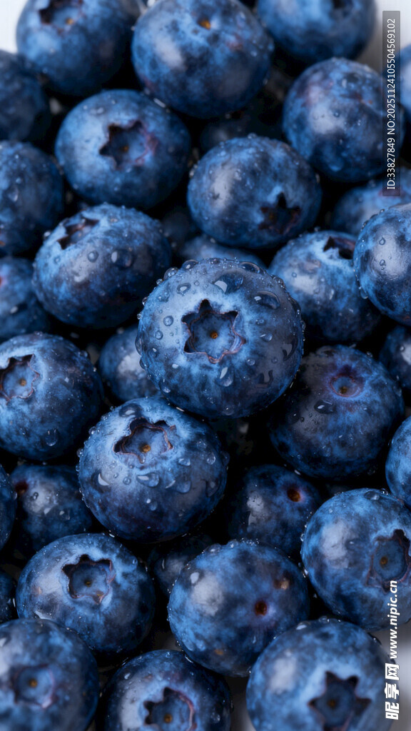 饱满蓝莓特写