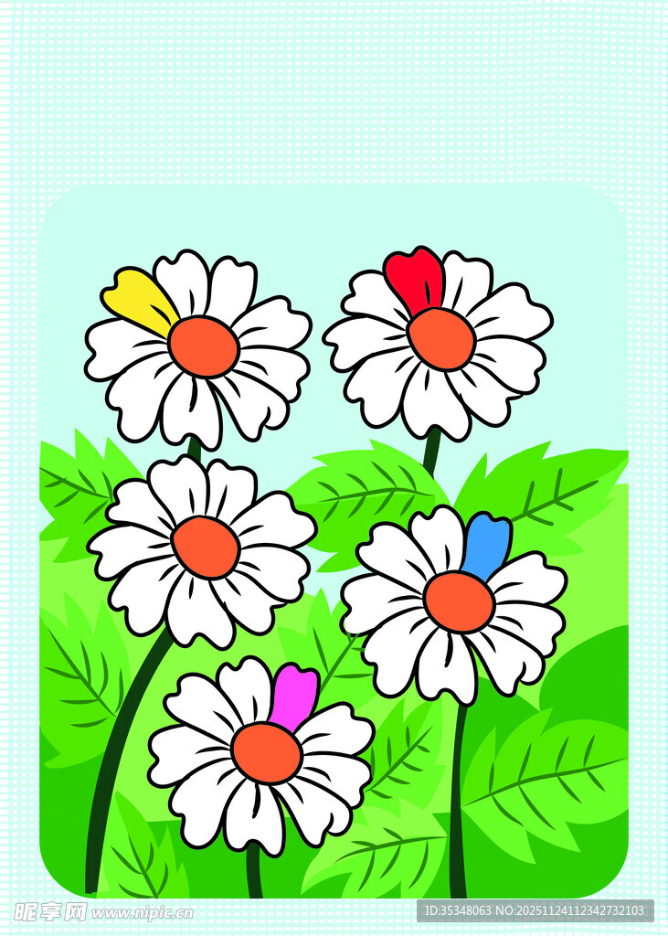雏菊花卉插图