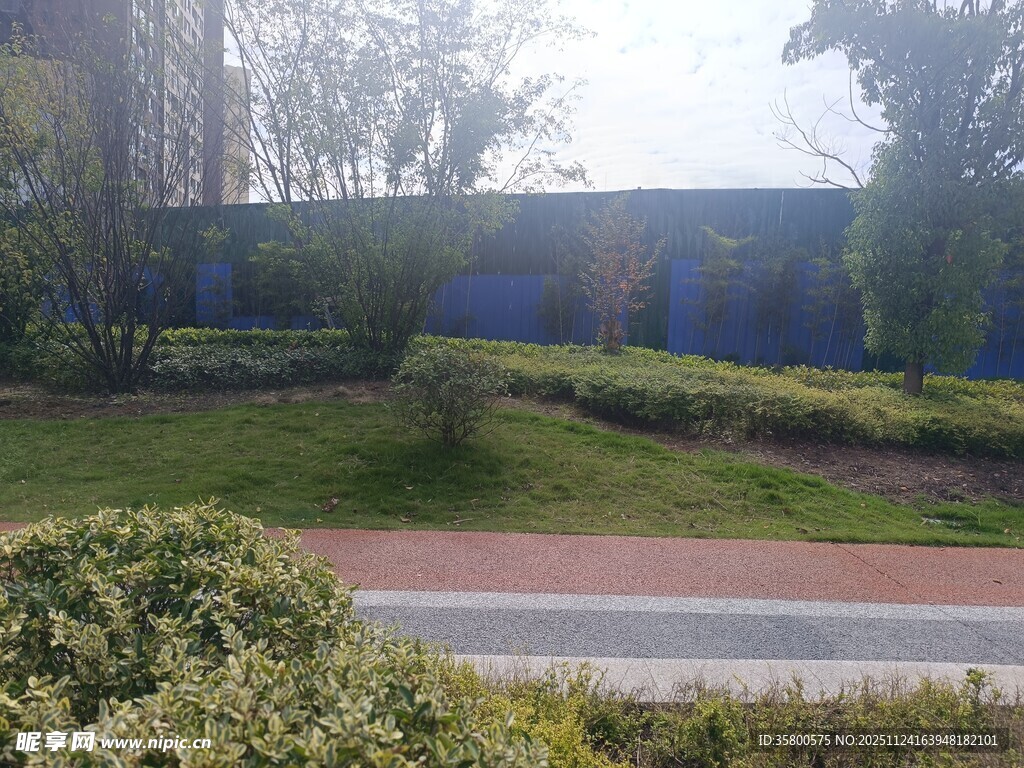 户外绿植景观道路场景