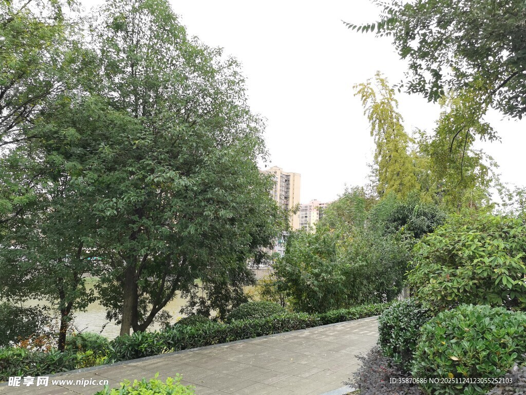 宁静林荫小道景观