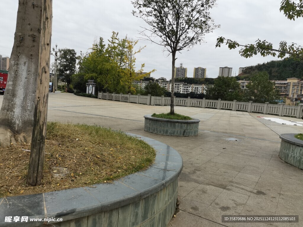 公园中的树木与休憩区域