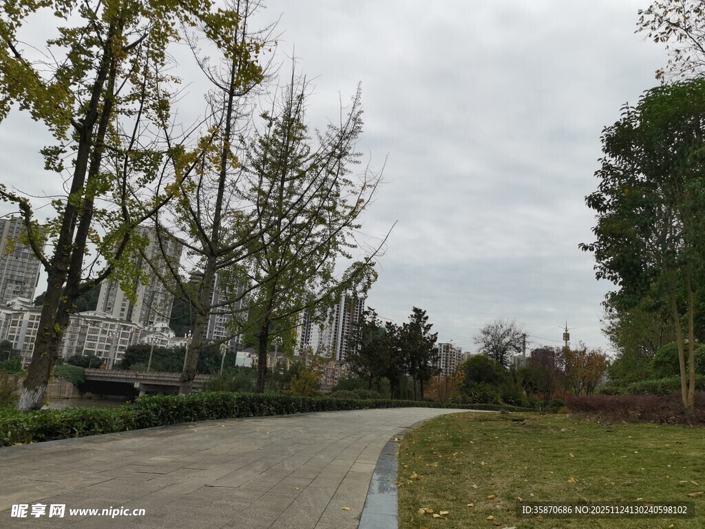 小区内的林荫道路景观