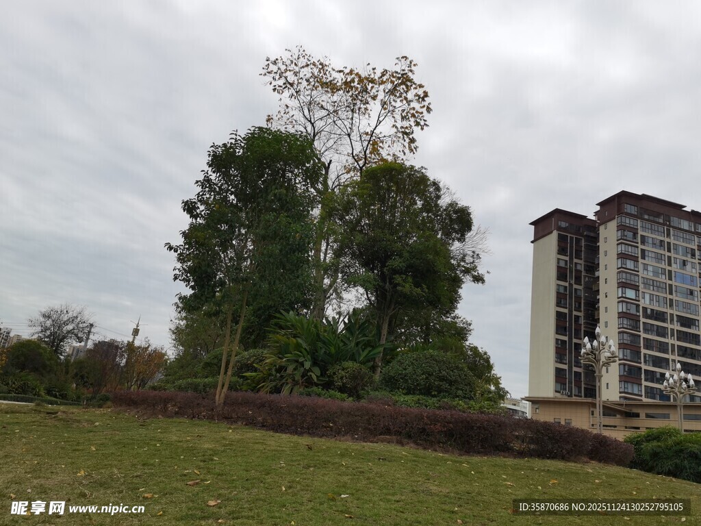 城市绿地旁的高楼与树木