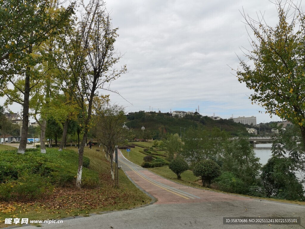 秋日林间小路景色