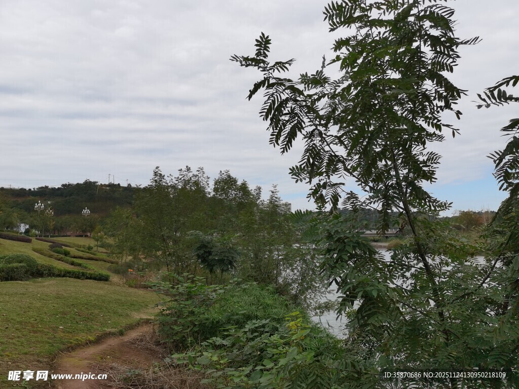 乡村绿野间的自然景致