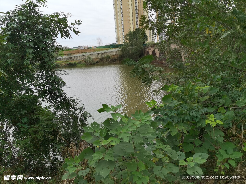 河畔绿植环绕的宁静水域