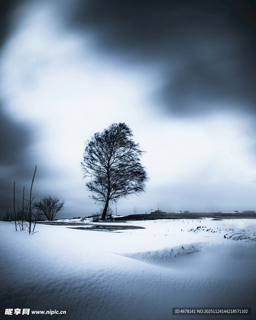 雪野孤树天地静谧之景