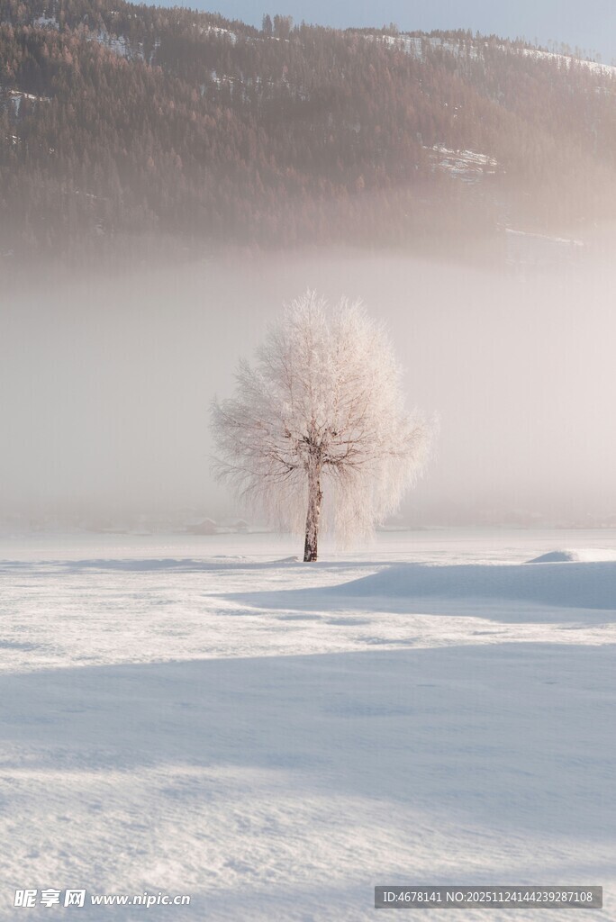 冬日孤树雪景图