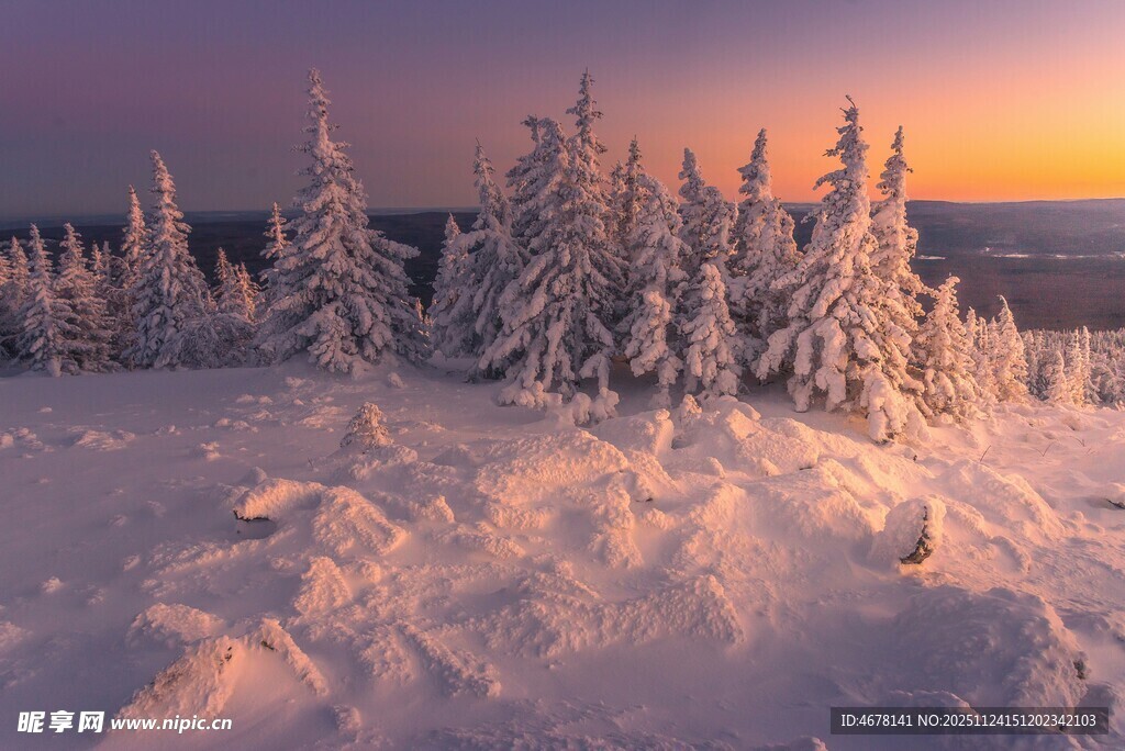 冬日雪林日落美景