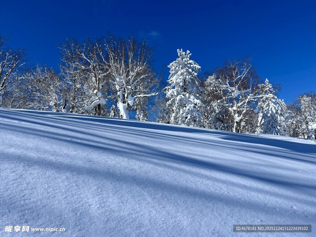 雪覆山坡与树木美景