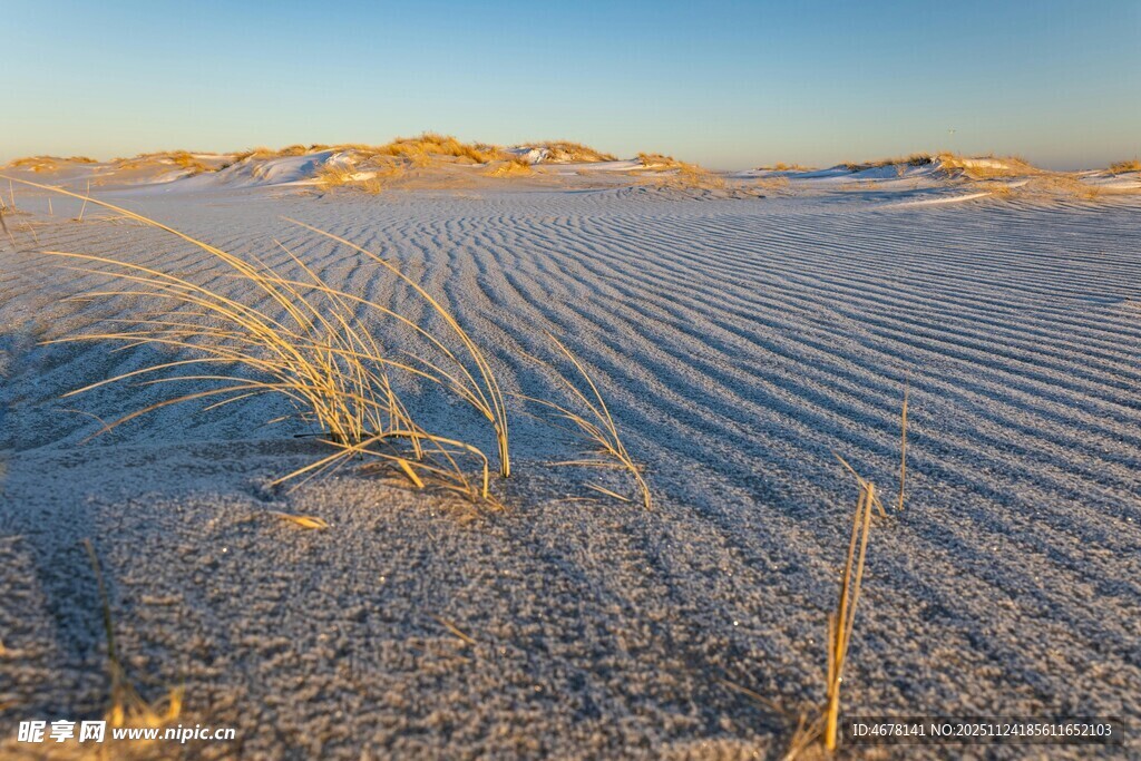沙漠纹理景观晨光映照