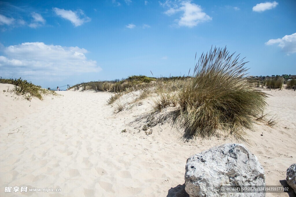 沙滩野草蓝天自然美景