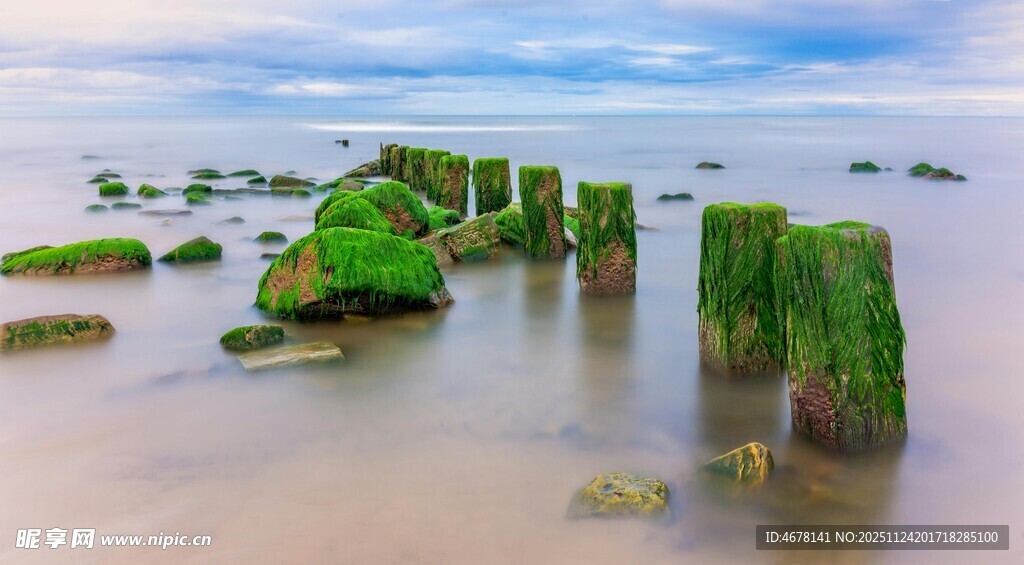 海边覆绿苔藓的古老木桩