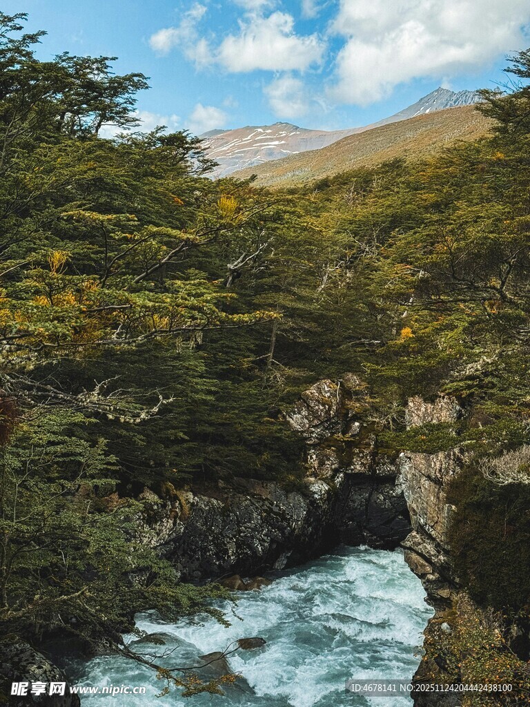 山间湍急溪流与葱郁林木