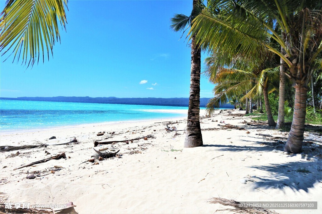 美丽热带海滩风光