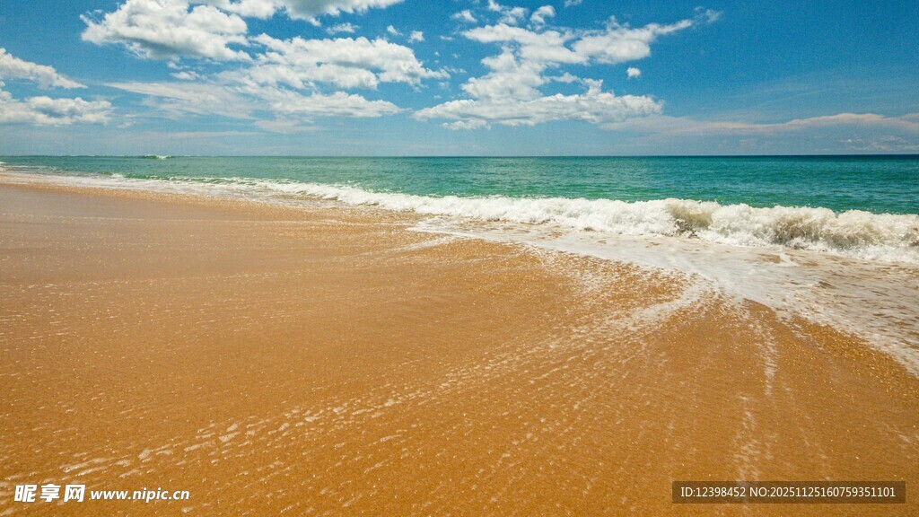 美丽海滨沙滩海浪风景