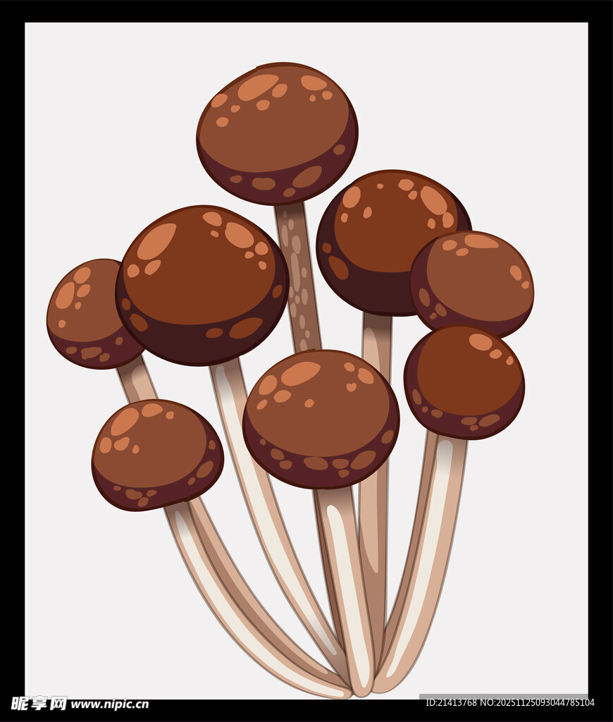 棕色蘑菇插画
