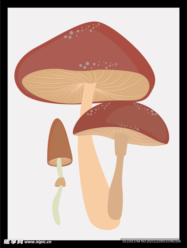 三株蘑菇插画