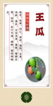 中药材王瓜介绍海报