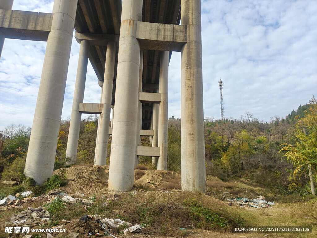 高架桥下的荒野景象